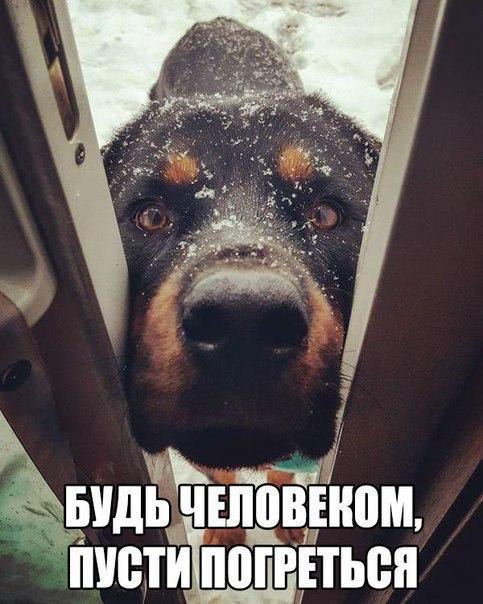    :-) - 16  2017  07:32