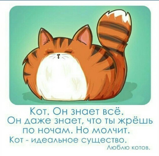   ... - 29  2017  19:14