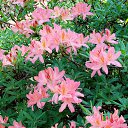 22.05.2016 �� ������� �������� ������������ ���.�