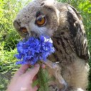 ���� ����, �����, 55 ��� - ��������� 25 ������ 2016 � ������ ������ ��������