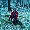 ���� �����, ������-��-���� - ��������� 6 ������ 2017