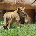 ���� �����, ��������, 48 ��� - ��������� 7 ����� 2017 � ������ ��������� ������� � ������