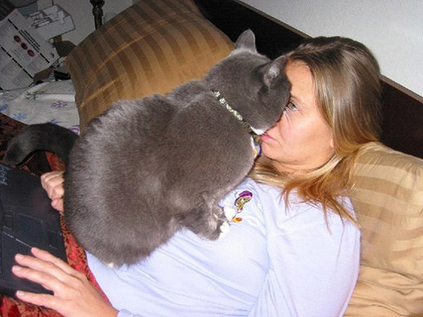 �����, ������� ��������� �� ���� ������ ������������ =^.^= - 8
