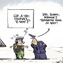 ���� �����, �������, 47 ��� - ��������� 24 ������� 2016 � ������ ������ ��������
