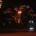 ���� ����, ����������� - ��������� 22 ������ 2016 � ������ ���� ����������