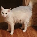 ���� ���������, ������, 75 ��� - ��������� 25 ����� 2017 � ������ ��� �� ��������!�