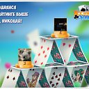 ���� ������< -�� �������!!!>, ������ - ��������� 3 ������� 2016 � ������ �������� �������-�������