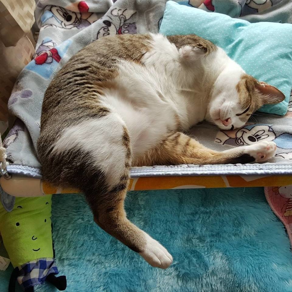  :    .     ,    .   ... - 3