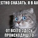 ���� �������, ������-���, 47 ��� - ��������� 5 ������� 2016