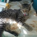 ���� �������, �����������, 42 ���� - ��������� 13 �������� 2016 � ������ ������ ��������