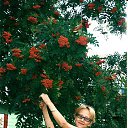 ���� ����/������, ������ �����, 72 ���� - ��������� 21 ������ 2017 � ������ ���� ����������