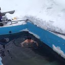 ���� �����, ���������, 58 ��� - ��������� 21 ������ 2017 � ������ ���� ����������