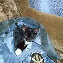 ���� // I., ����� - ��������� 24 �������� 2016 � ������ ���� ����������