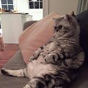 ���� Gansander, ������, 55 ��� - ��������� 17 ����� 2017