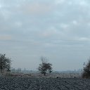 ����. 03.11.2016 �� ������� �������� ���������