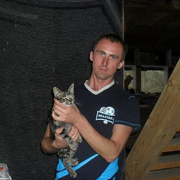 ���� �����, �����-���������, 43 ���� - ��������� 12 ������ 2016