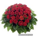 ���� Miasnik, ������, 70 ��� - ��������� 12 ������� 2016 � ������ ������ ��������