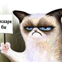 ���� ��������, ��������� - ��������� 18 ������ 2016 � ������ ������ ��������