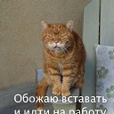 ���� �������, ����������� - ��������� 21 ������ 2016 � ������ ������.�