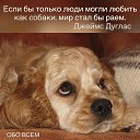 ���� �������, ���� - ��������� 20 �������� 2016 � ������ ���� ����������