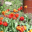 ���� Yusoup, ������, 70 ��� - ��������� 25 ������ 2017 � ������ ���� ����������