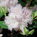 22.05.2016 �� ������� �������� ������������ ���.�