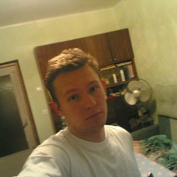 Stayer, �����-���������, 40 ���