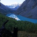  , -, 53  -  7  2016    .