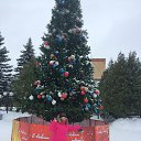 ���� �����, ������, 46 ��� - ��������� 31 ������� 2016