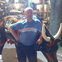 ���� ��������, �������, 50 ��� - ��������� 1 ����� 2017 � ������ ���� ����������