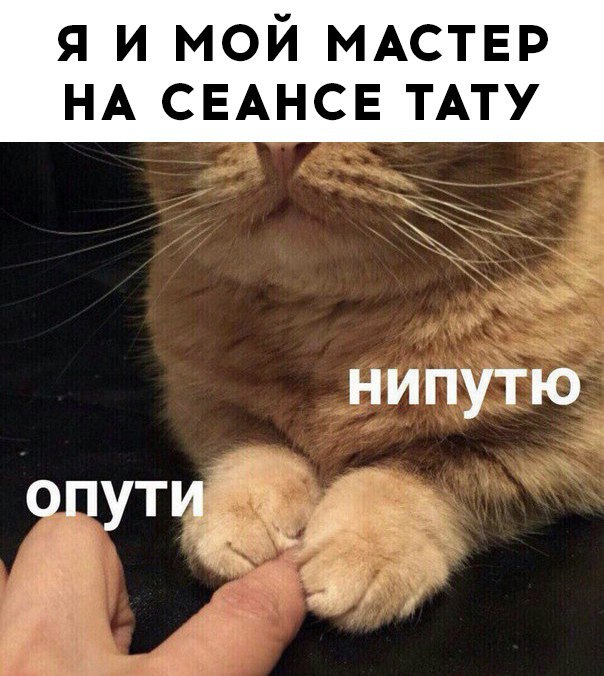 ,    - 21  2017  13:41