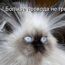 ���� ��������, ������, 47 ��� - ��������� 12 ����� 2017 � ������ ���� ����������