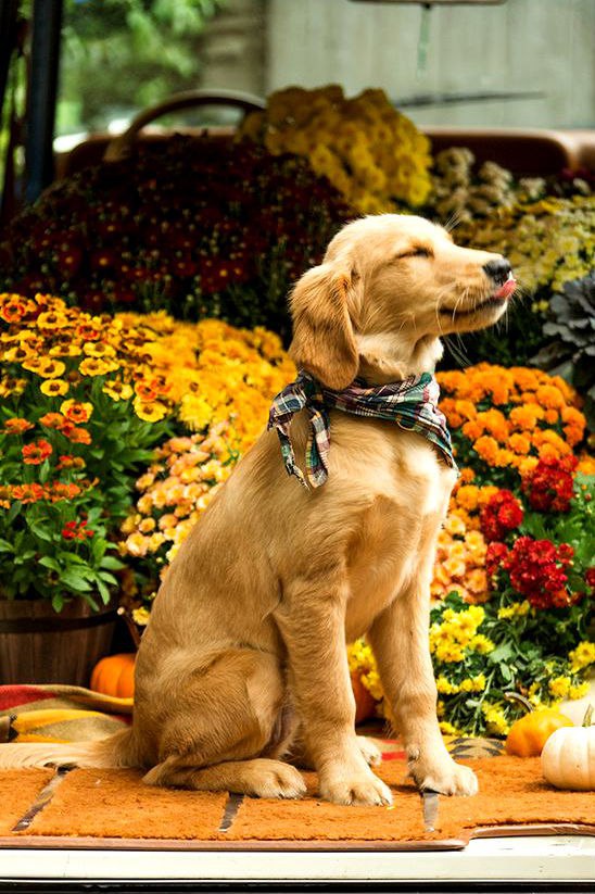  ! - 7  2016  23:40 - 3