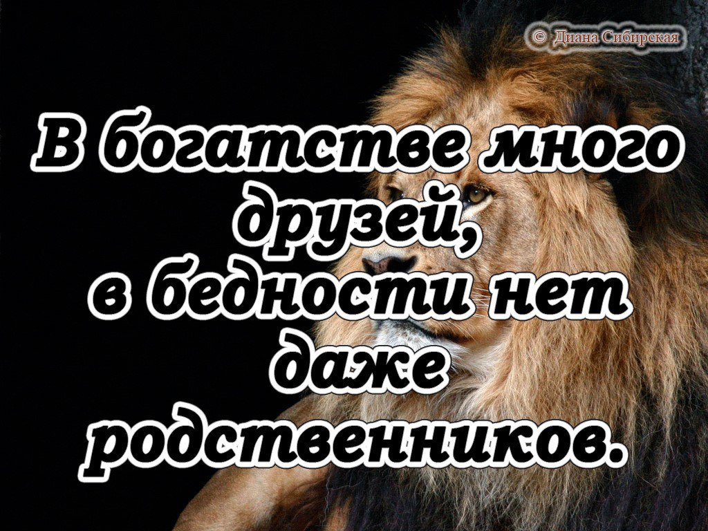 И красивей и родней нет. Афоризмы про родню. Фразы про родственников. Цитаты про друзей и родственников. Высказывания про родственников.