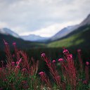 ���� ��������, ������, 29 ��� - ��������� 17 ������� 2017 � ������ ������ ��������