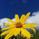 ���� ����, �����, 50 ��� - ��������� 19 �������� 2016 � ������ ��������,������