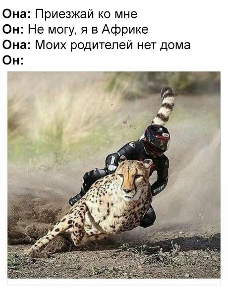   - 18  2017  07:22