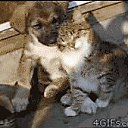 ���� Nastasya, ����, 34 ���� - ��������� 10 ������ 2017 � ������ ���� ����������