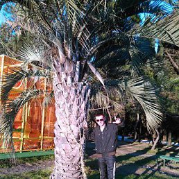 �������, ������������, 41 ���