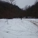���� �������, �����������, 42 ���� - ��������� 15 ������ 2017 � ������ ������ ��������