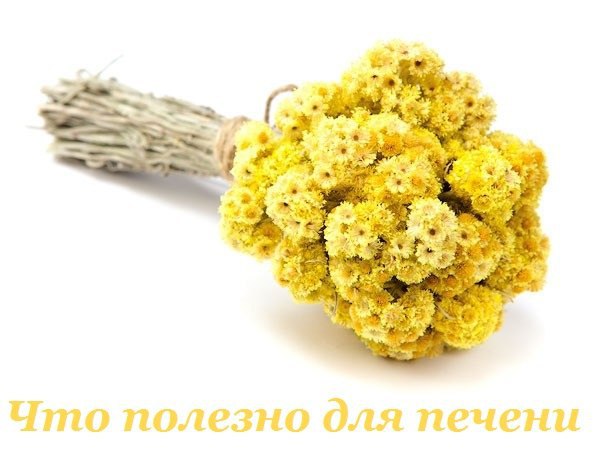 Что полезно для печени. Печень, выполняющая функцию очищения крови от токсинов, как и любой фильтр, ...