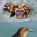 ���� ������, �������������-���������� - ��������� 4 ����� 2017 � ������ ������ ��������