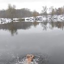 ���� ��� �� ���������. �� ������� ���� ����������