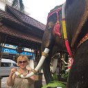 ���� ��������, ������ - ��������� 28 ������ 2017 � ������ �������..����� ��� 2017.�