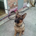 ���� ������, ������, 52 ���� - ��������� 18 �������� 2016 � ������ ���� ����������