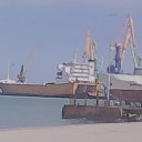 ���� ���, ����, 43 ���� - ��������� 14 ������� 2016 � ������ �����