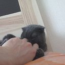 ���� Bars, ������������ - ��������� 10 ������� 2016 � ������ ���� ��������