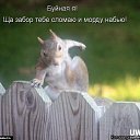 ���� �������, �������, 43 ���� - ��������� 14 �������� 2016 � ������ ������ ��������