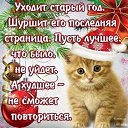 ���� !!!������!!!, �����������, 52 ���� - ��������� 31 ������� 2016 � ������ ������ ��������