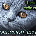 ���� ��������, �����-��������� - ��������� 23 ����� 2017 � ������ ������ ��������